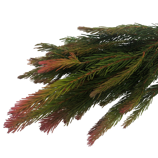 Pine