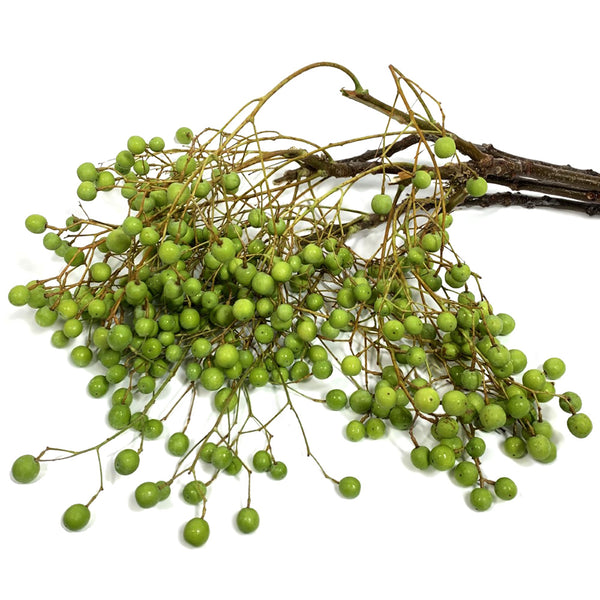 China Berry