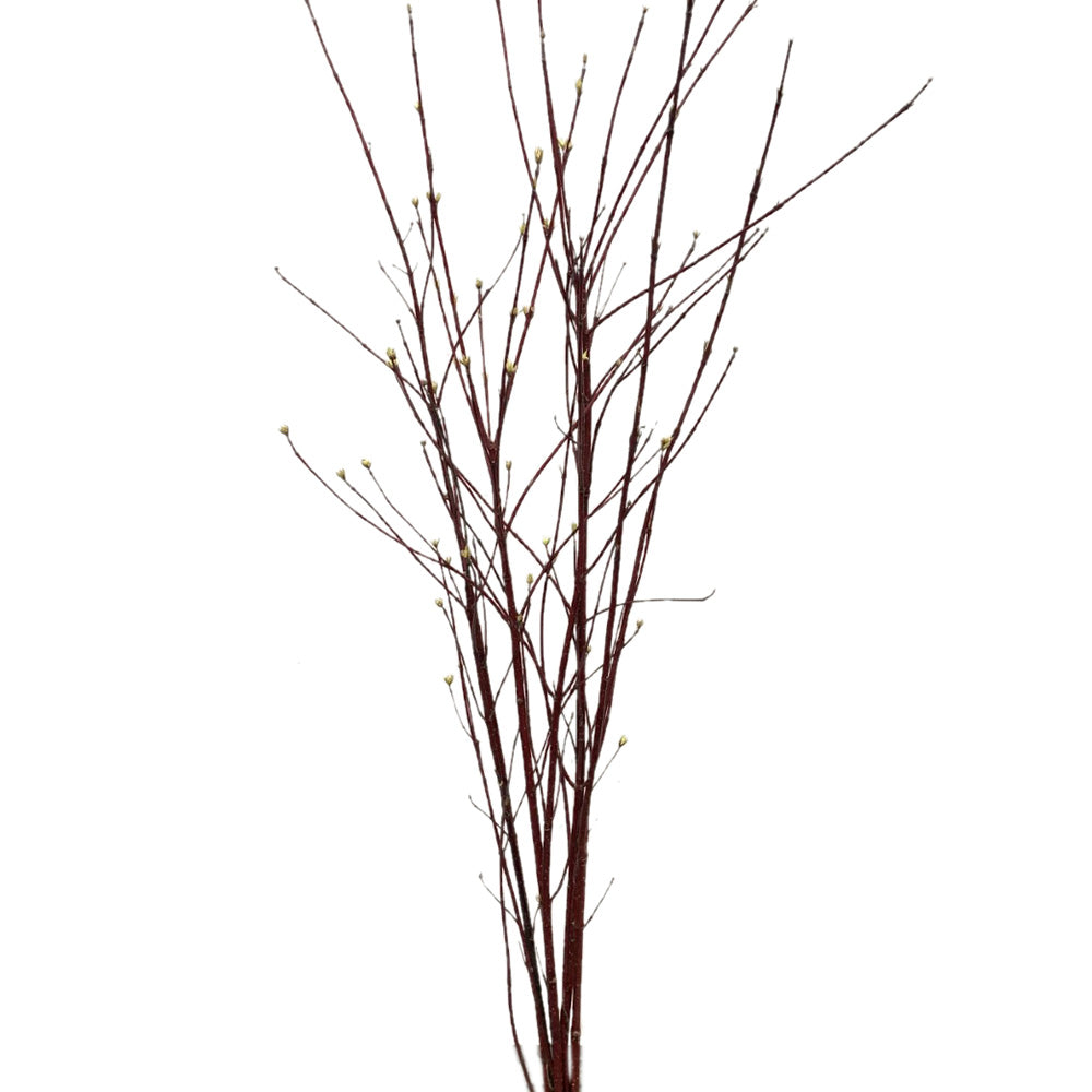 Branches