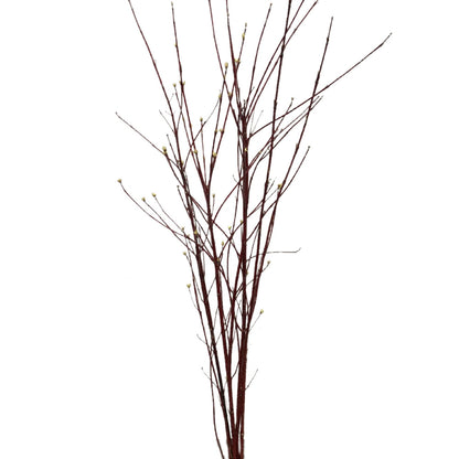 Branches