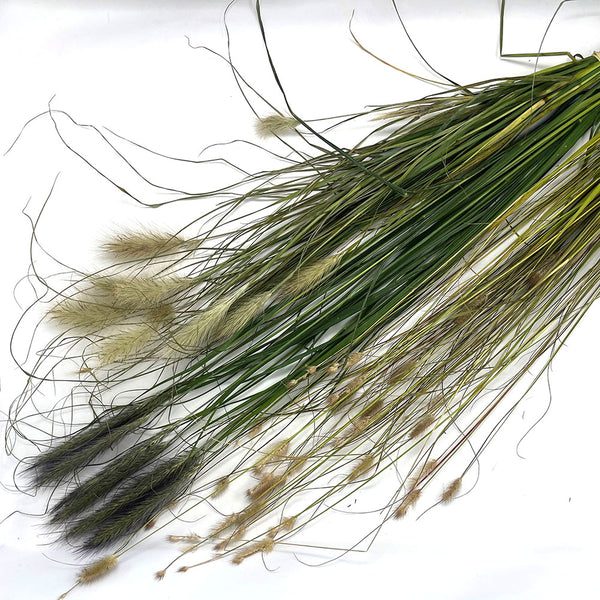 Grass