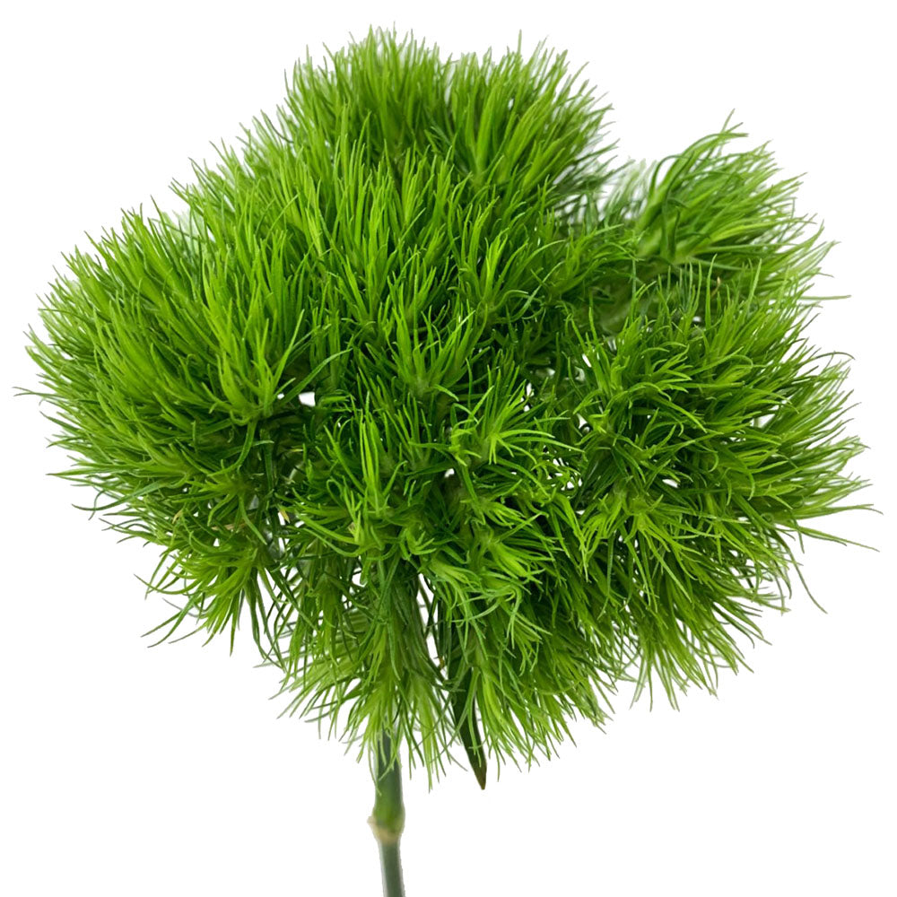 Green Ball Carnations