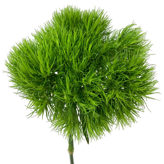 Green Ball Carnation
