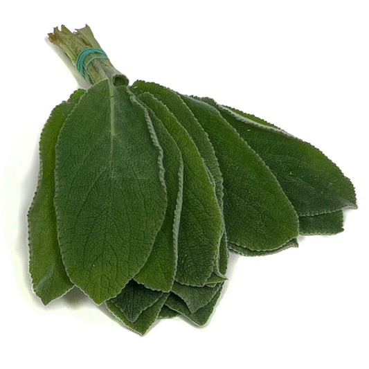 Lambs Ear