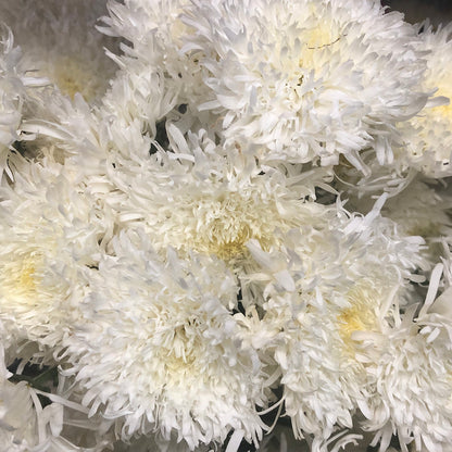 Pom Pon Novelty - Snowflake