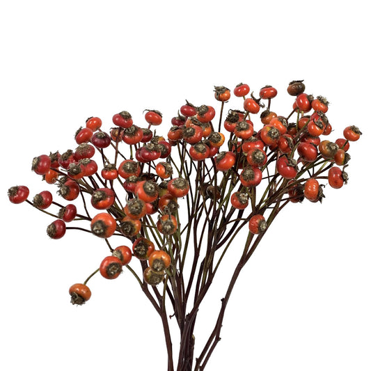 Rose Hips